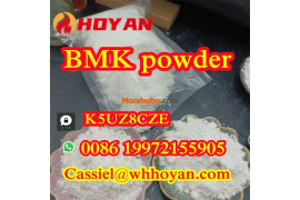 Oversea Warehouse Stock CAS 5449-12-7 BMK Glycidic Acid powder